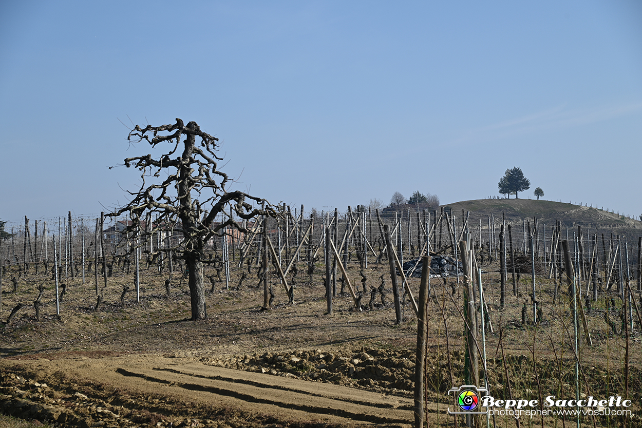VBS_1159 - Santo Stefano Roero.jpg